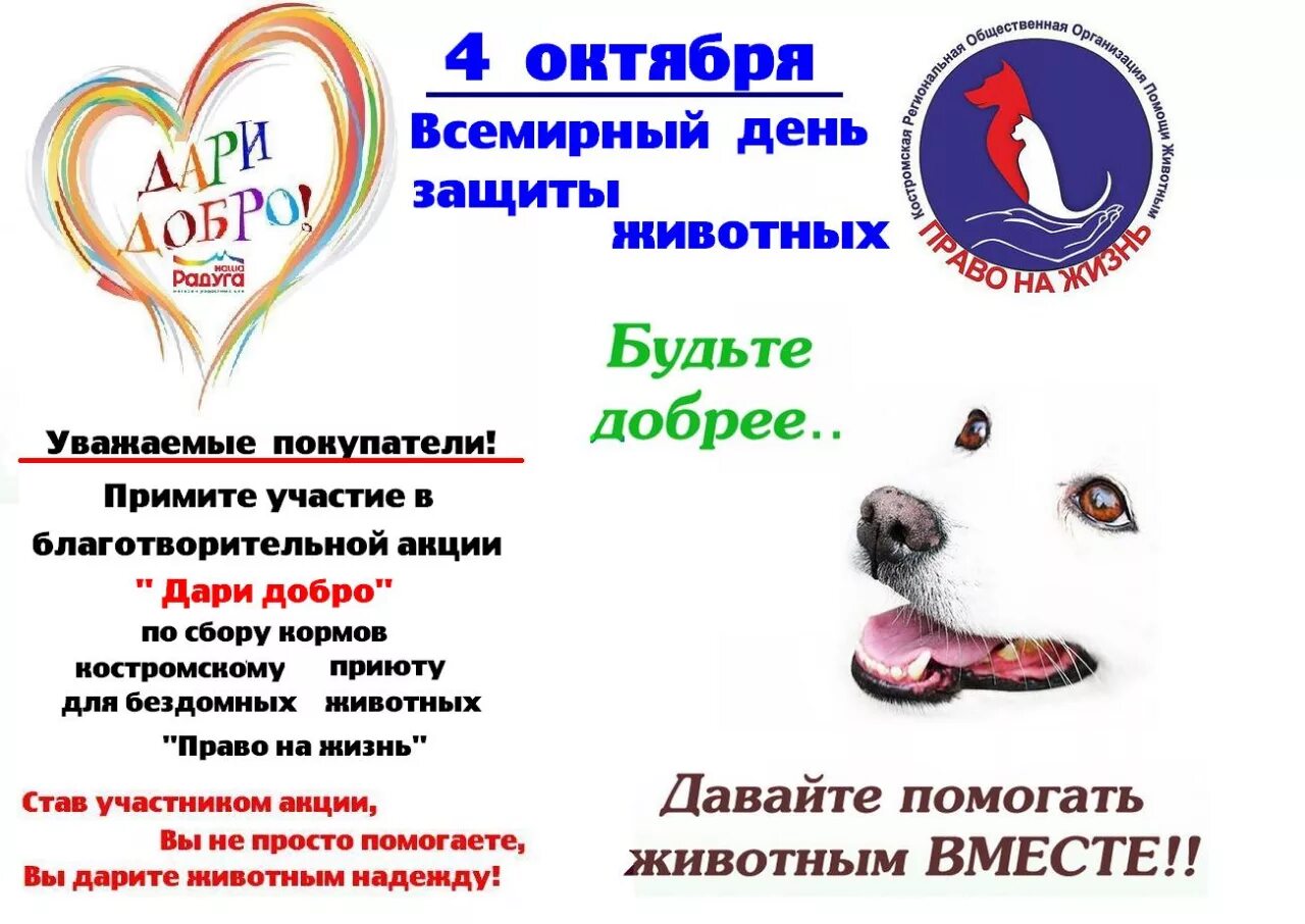 чебоксарский приют для собак. приют собачий приют в чебоксарах. приют право на жизнь чебоксары. службы отлова эмблемы. приют для животных чебоксары право на жизнь.