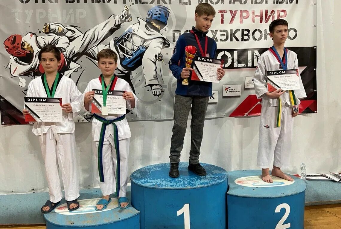 Открытый межрегиональный турнир. Елабуга 1996 год первенство на призы деда мороза бокс. Каратэ фото. Кёкусинкай. Кубок феникса девушки 2010.