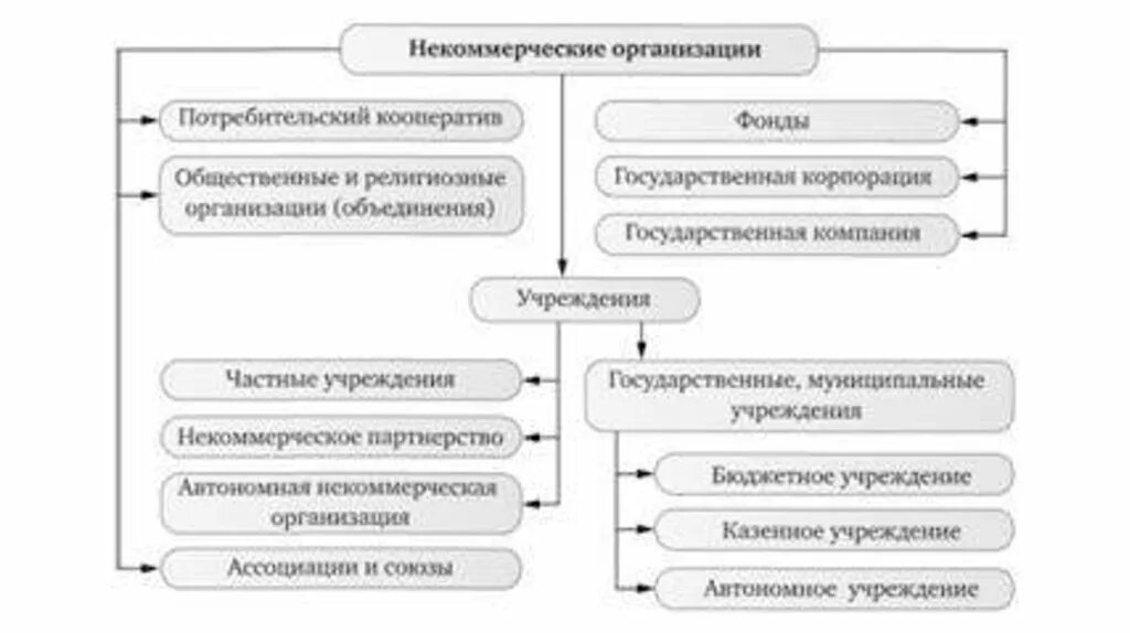 Средства фондов и некоммерческих организаций. Схема виды некоммерческих юридических лиц. Виды некоммерческих организаций схема. Классификация некоммерческого сектора схема. Формы некоммерческих организаций схема.