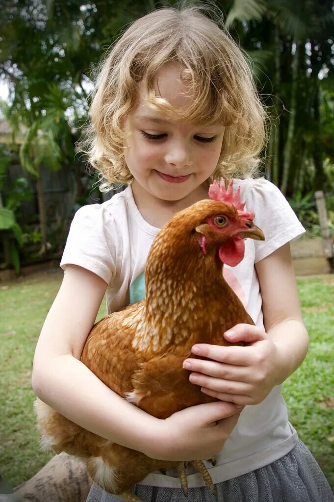 Курица. Курочка с детками. Фотосессия с цыплятами. Цыпленок девочка.