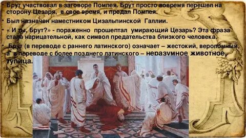 Крылатые выражения и ты брут