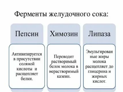 Все ли живые организмы содержат фермент