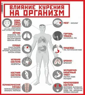 Влияние курения табака на организм