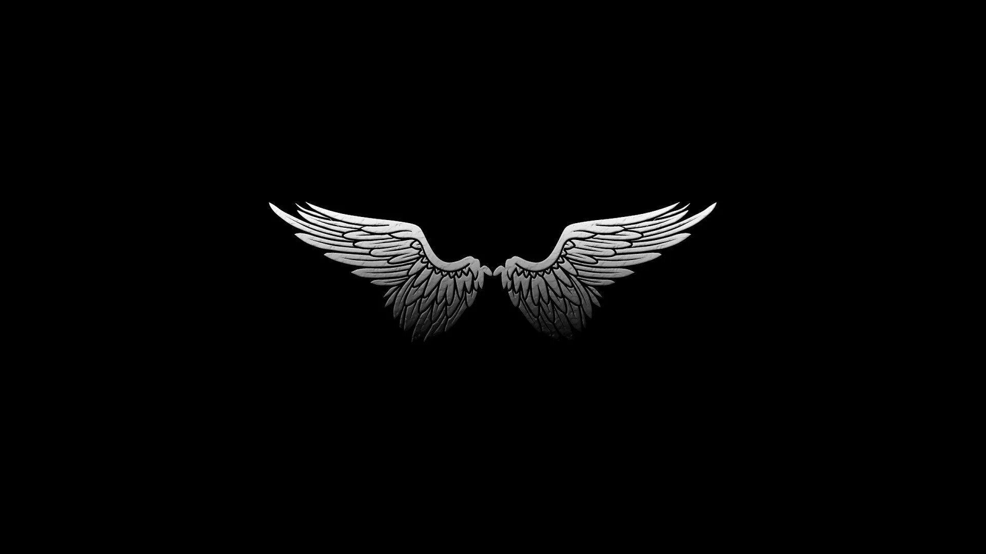 Орел на черном фоне. Логотип на черном фоне. Крылья ангела на черном фоне. Крылья на черном фоне