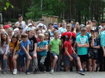 Лесная сказка златоуст