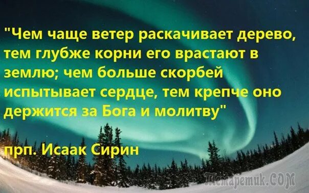 Сильный ветер может раскачивать деревья части речи. Днём и ночью раскачиваются деревья. Подобно дереву, раскаченному ветром. Ветер раскачивает дерево