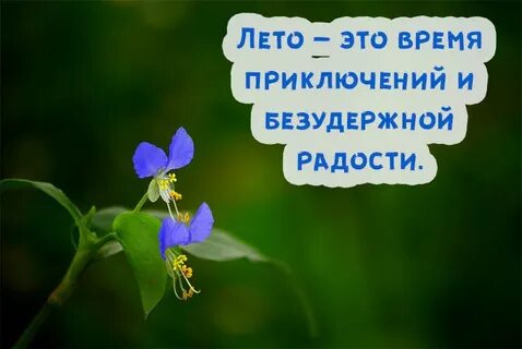 Лето это хорошо но мало