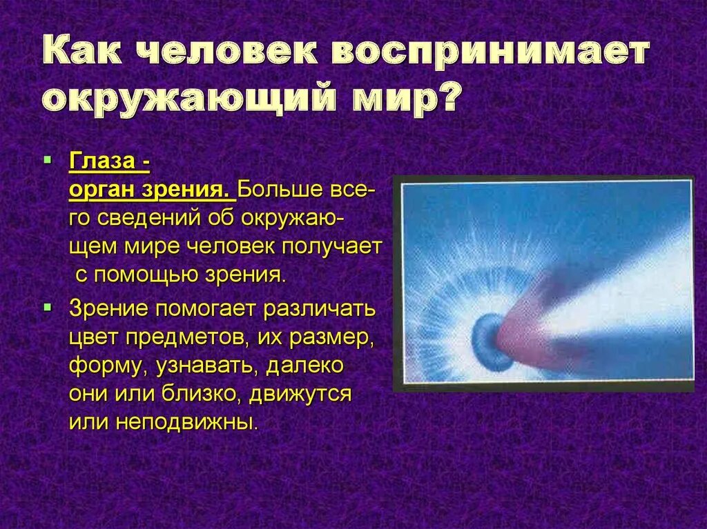 Как воспринимает человек этот мир. Как человек воспринимает окружающий мир. Человек воспринимает ми. Как человек воспринимает окружающий мир 4 класс доклад. Рассказ как человек воспринимает окружающий мир.