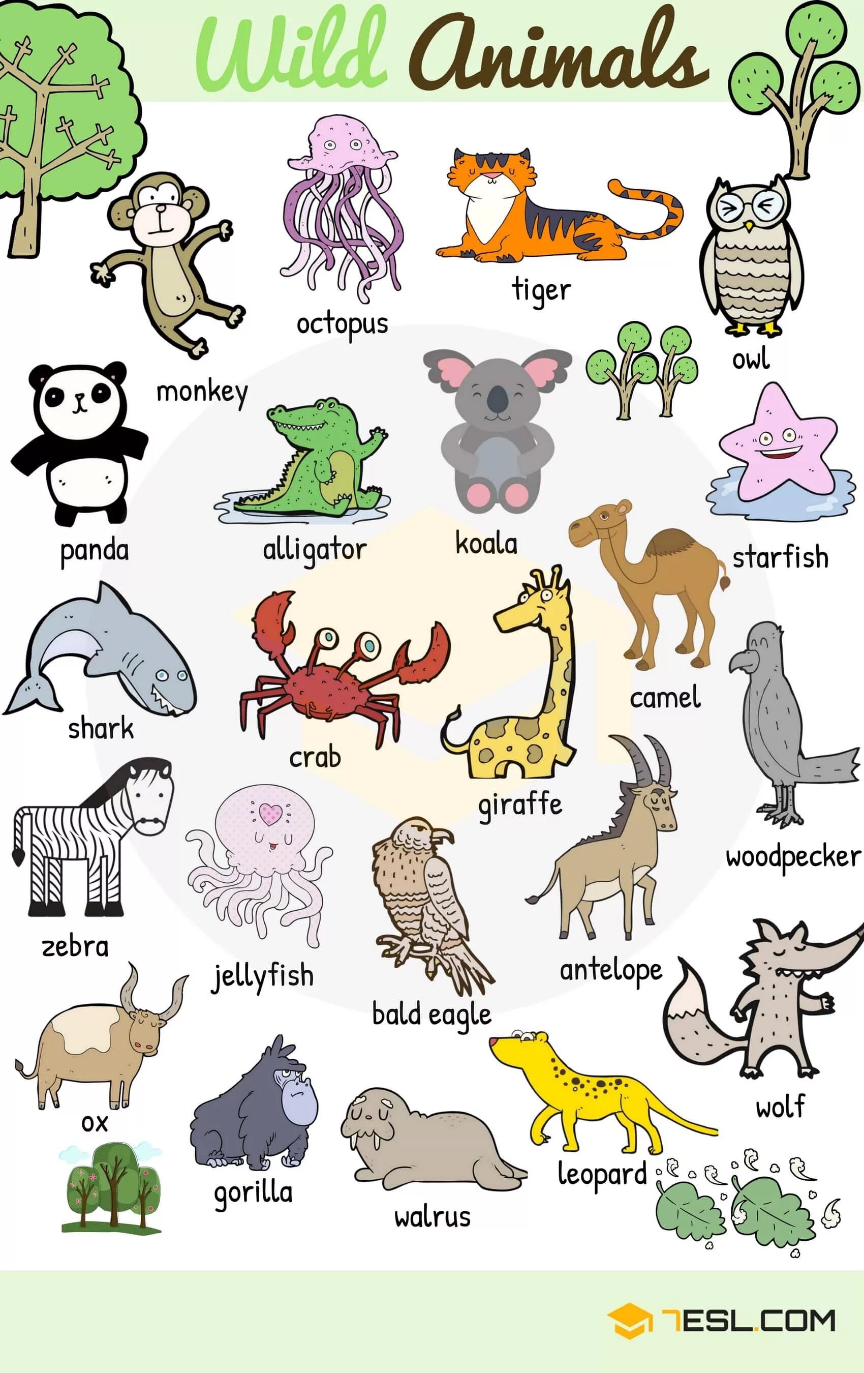Животные на английском языке. Животные на англ яз. Названия животных на английском. Животные на английском для детей. Странный на английском языке