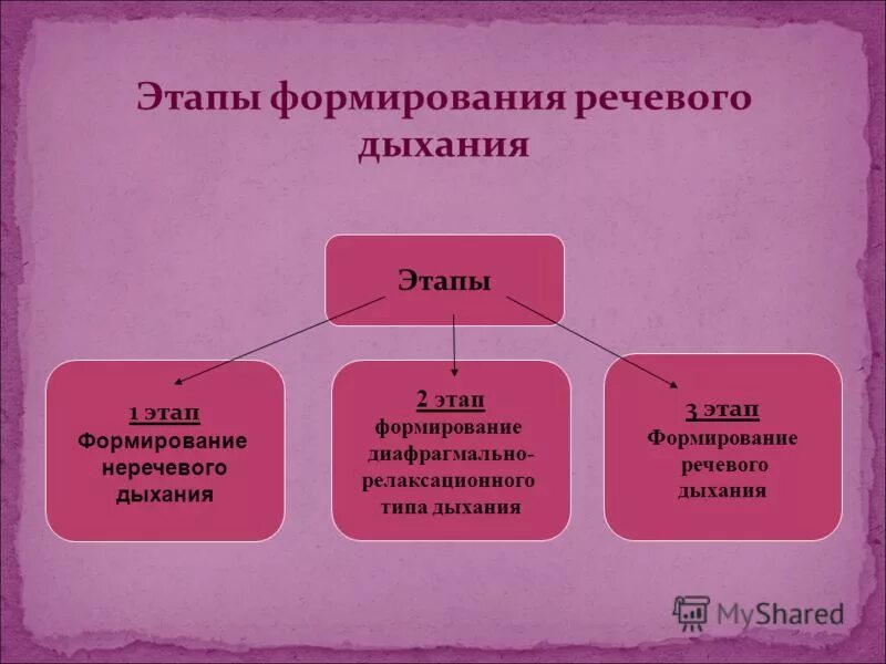 этапы формирования речевого дыхания. физиологическое и речевое дыхание. типы дыхания. развитие речевого выдоха. формирование длительного фонационного выдоха.