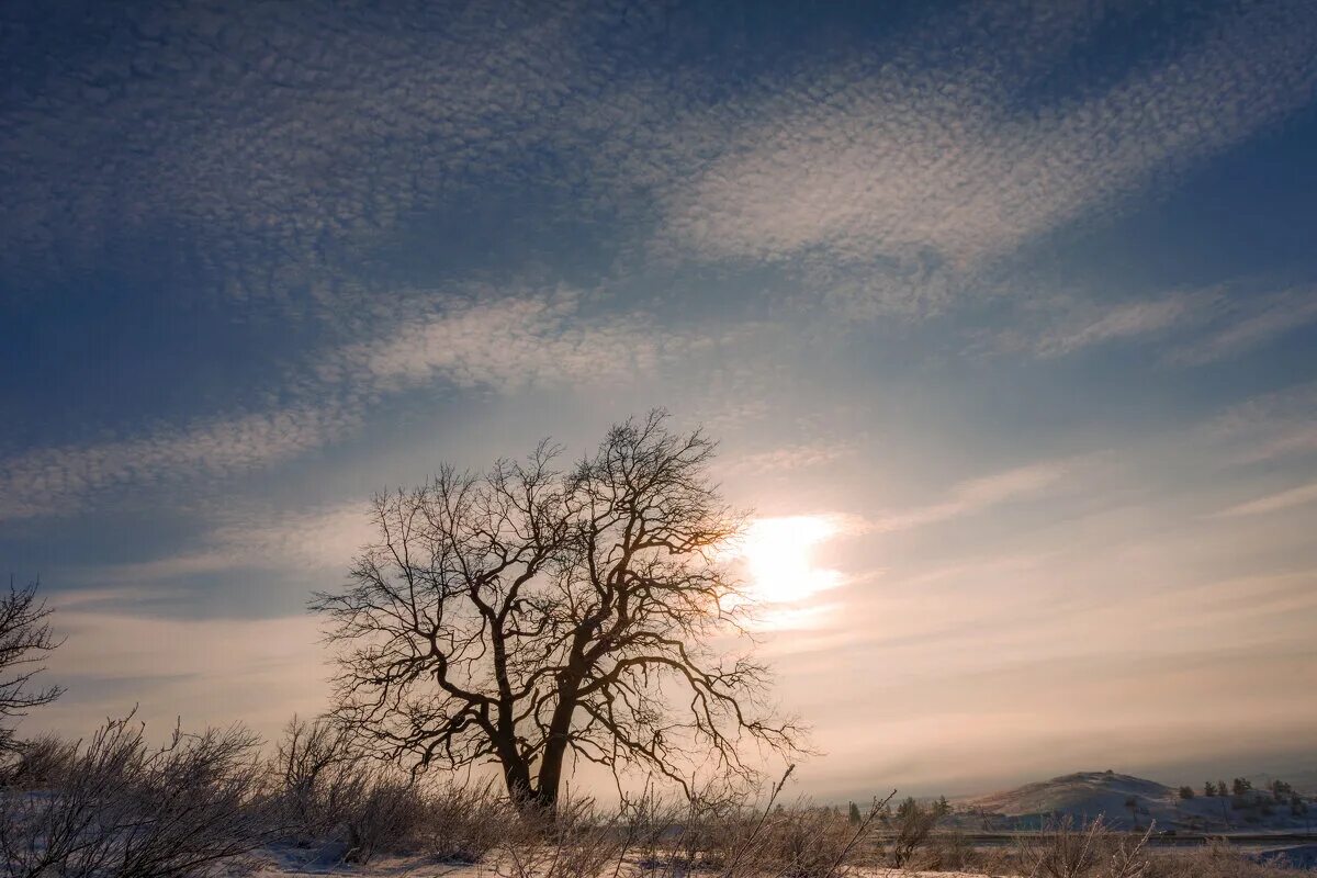 Солнце уходит. Елизавета боярская свет уходящего солнца. Меладзе свет уходящего солнца клип. Валерий меладзе свет уходящего солнца. #последние лучи уходящего солнца.