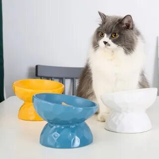 Умная миска для кошек