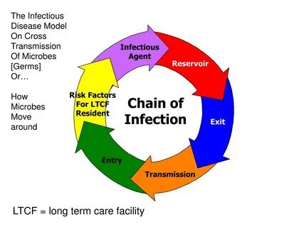 Process chain