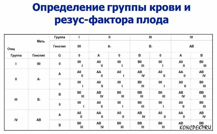 Группы крови и резус-фактор таблица. Определите группы крови по резус-фактору. Резус фактор плода таблица. Резус фактор конфликт таблица. Определение d резус определение