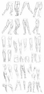Leg reference
