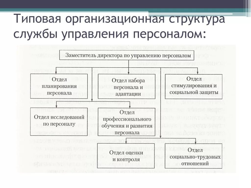 Организация ее структура и функции. Структурная схема службы управления персоналом организации. Структура службы управления персоналом организации схема. Организационная структура департамента управления персоналом. Структурные подразделения службы управления персоналом.