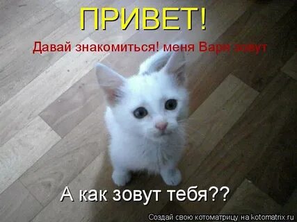 Да я варя