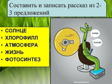 Биология 9 класс биосинтез углеводов фотосинтез конспект