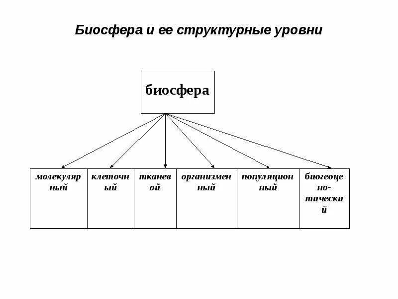 Элементы системы биосферного уровня