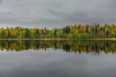 Валдайская жемчужина где находится