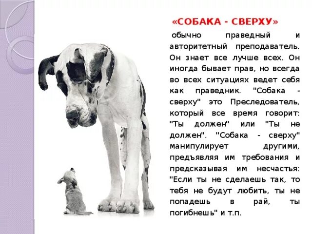 Собака снизу. Собака сверху и собака снизу гештальт-подход. Собака сверху собака снизу. Собаки сверху и собаки снизу примеры. Фриц Перлз - "собака сверху-собака снизу"..