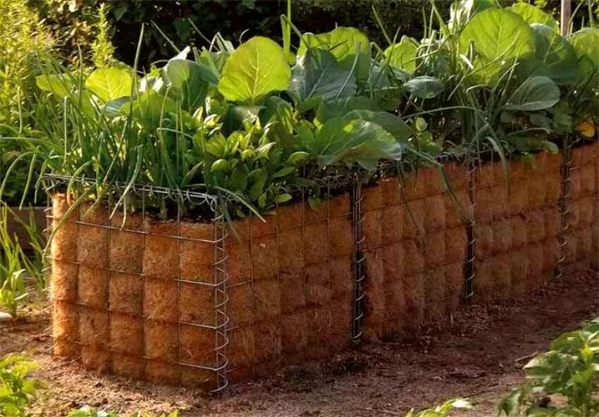 Красивые деревянные грядки. Красивые грядки. Грядки из подручных. Ограждение для грядок prosperplast ipsp. Пластиковые бордюры для клумб.