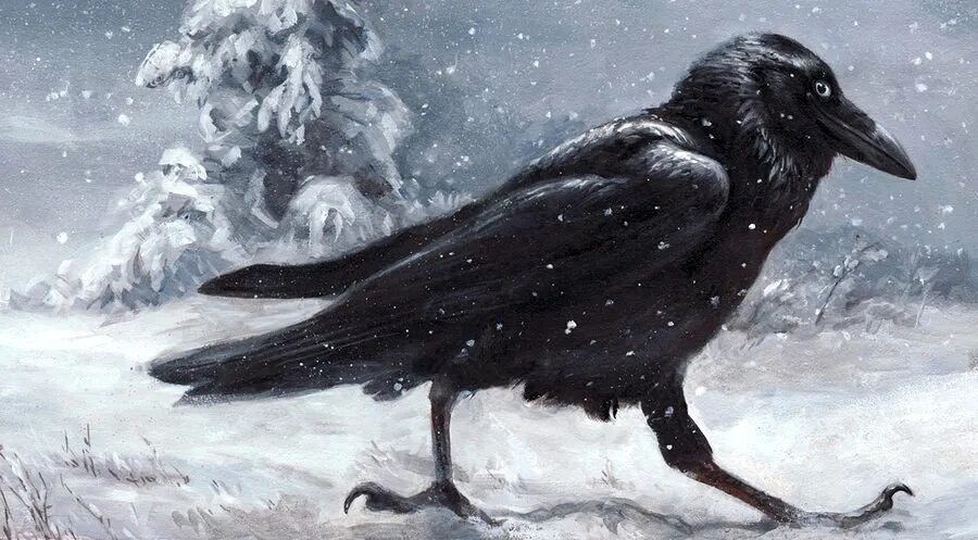 Жила ворона в заколоченном на зиму. "Ворона"? (А. блок "ворона"). Ворона на снегу. Ворон арт. Ворона живопись.