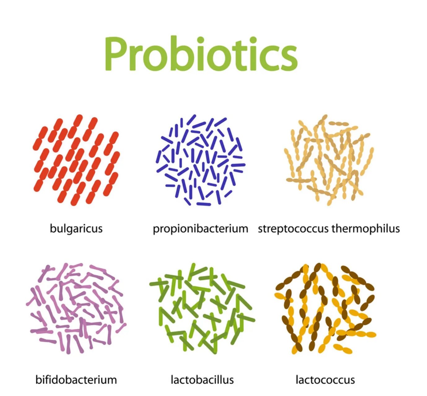 Бактерии добавки. Пробиотики и пребиотики. Пробиотики микроорганизмы. Пребиотики это микробиология. Бактерии в пробиотиках.