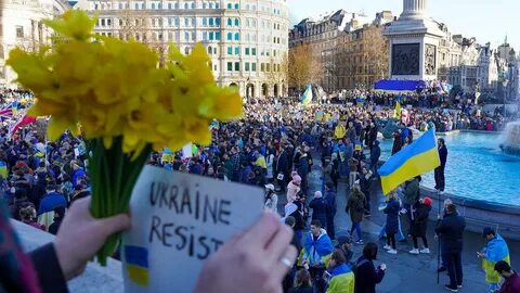 Украински плати