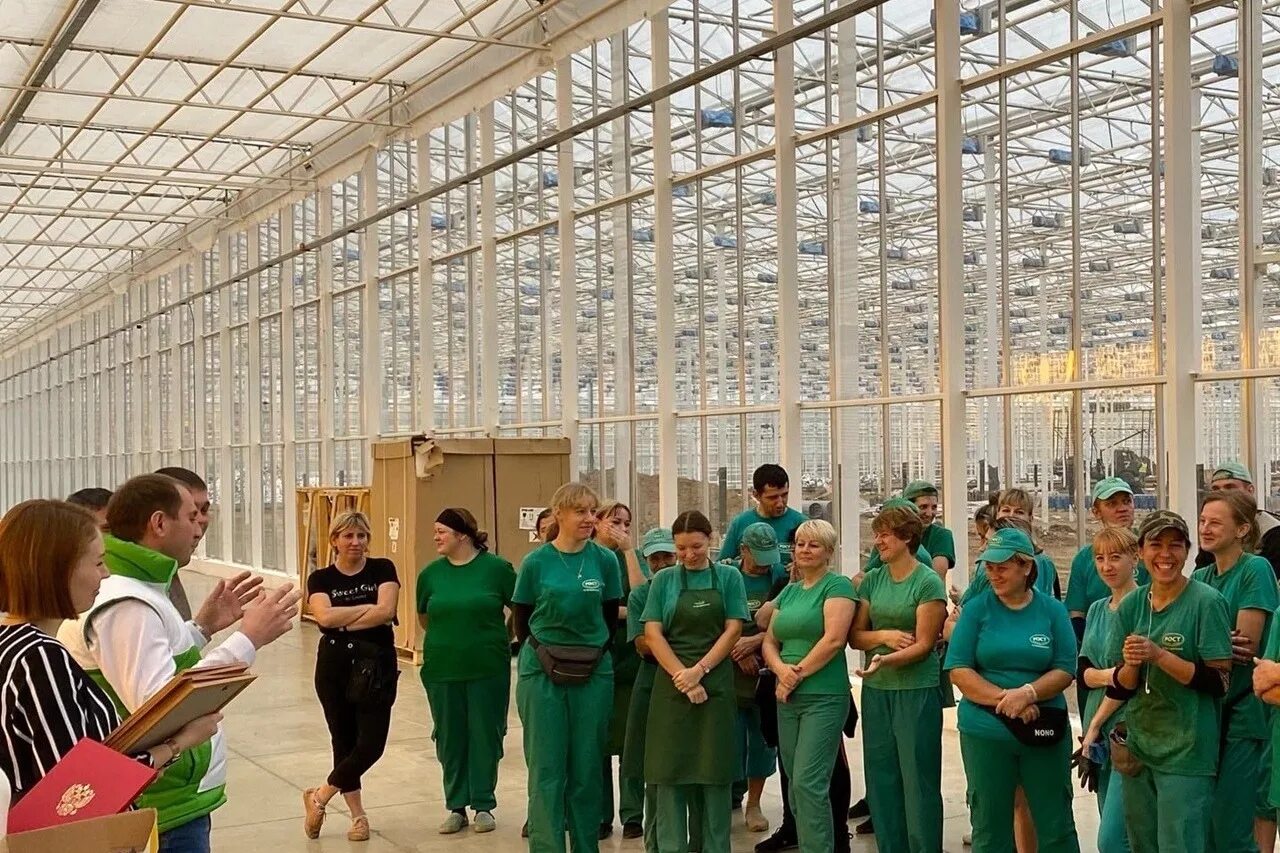 Md group мичуринский. Md group мичуринский