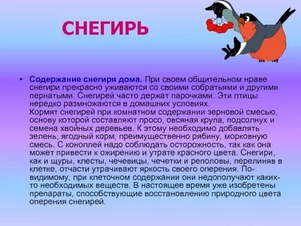 Снегирь какие звуки