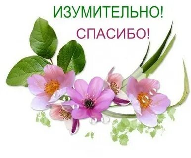 Раз 2 3 4 спасибо