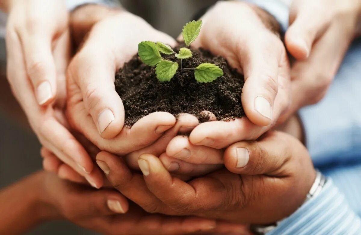 Sustainable business. Corporate sustainability. Человек и окружающая среда. Инвестирование esg. Социальная экология.