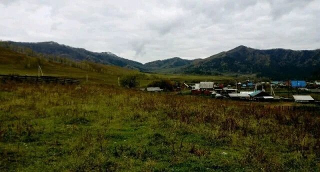 Погода ильинке республика алтай. Камлак Шебалинский район. Село Камлак Республика Алтай. Горно-Алтайск Камлак. Кумшула, Алтай Камлак Шебалинского района.