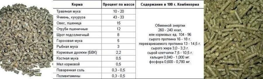 Чем отличаются друг от друга травяные корма