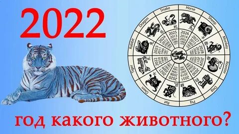 Какой год будет через 120