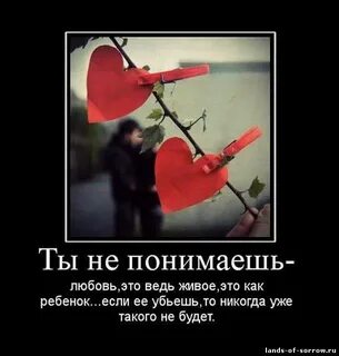 Погубил любви