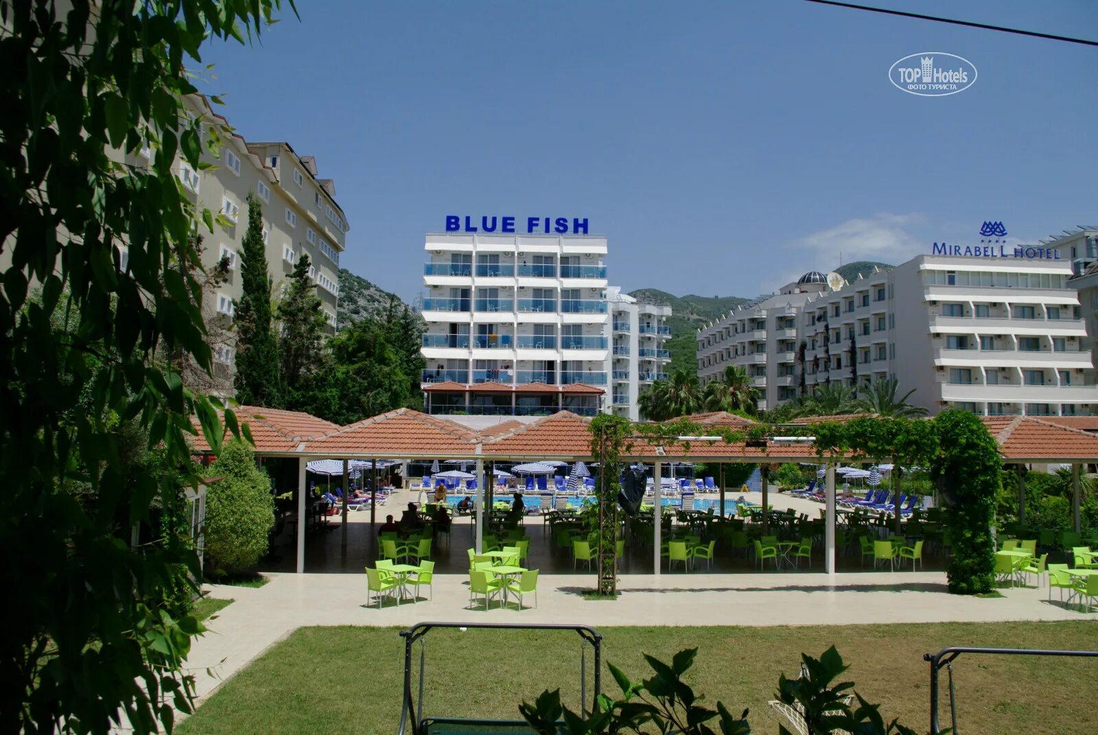 Blue fish hotel 4 турция аланья. Турция Blue Fish. Blue Fish 4 Турция. Отель Блю Фиш Турция Аланья. Отель Блю Фиш Алания 4 звезды.