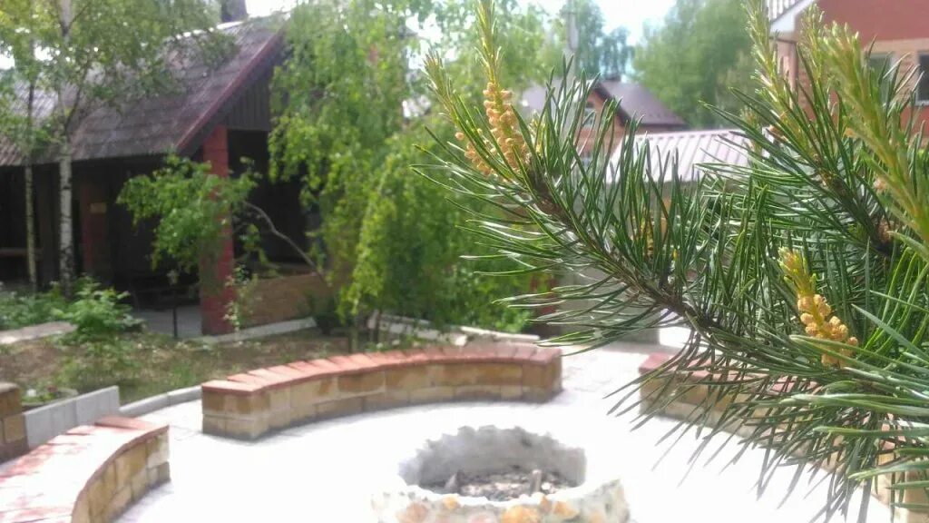 Гостевой дом сосновая аллея. Гостевой дом сосновая аллея дядькино. Сосновая аллея гостевой дом. Сосновая аллея дядькино. Дядькино.