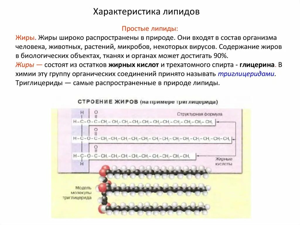 Строения липидов человека. Общее строение липидов формула. Строение липидов биология. Строение простых липидов. Характеристика простых липидов.