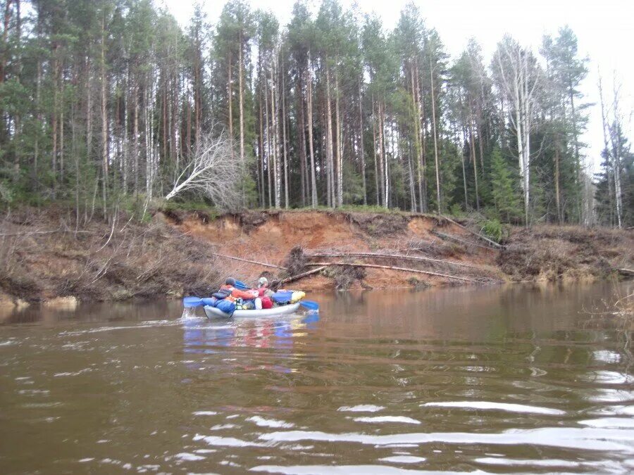 Уровень воды в ветлуге шарья на сегодня. Уровень воды в Ветлуге в Шарье. Рыбалка на реке Ветлуга Нижегородская область. Вода на реке Ветлуга. Уровень воды в Ветлуге.