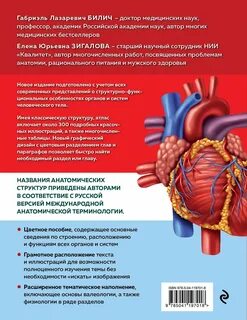 Е анатомия