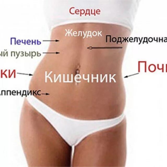 Находится в самом низу. Низ живота у женщин. нижняя часть живота. болит низ живота. что справа внизу живота у женщин.
