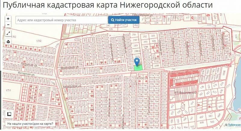 Кадастровая карта павлово нижегородской. Публичная кадастровая карта Нижегородской. Карта Кстовского района Нижегородской области. Долгая Поляна Кстовский район. Деревня крутая Кстовский район Нижегородская область.