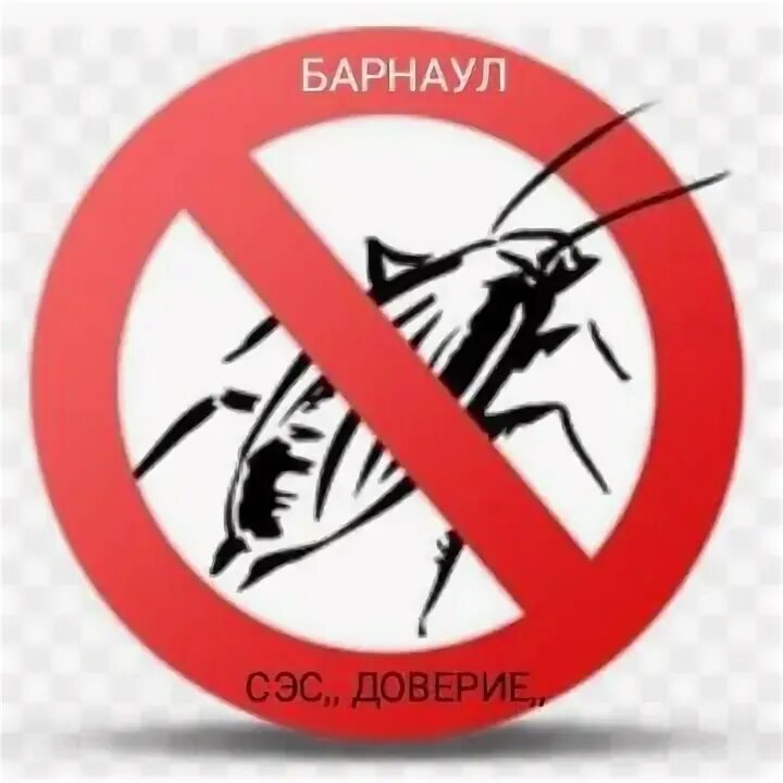 Инфекции через насекомых