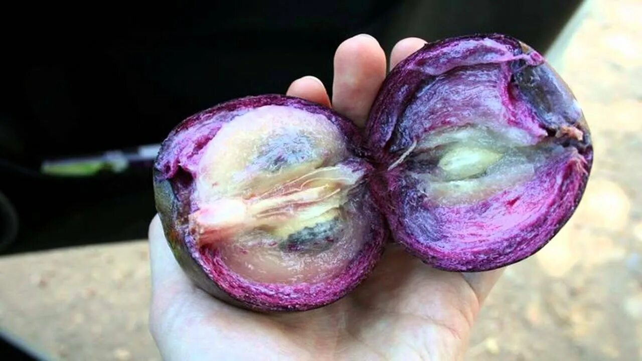 Экзотические фрукты на белом фоне. Momordica cochinchinensis. Эпика маракуйя мангостин. Аки блигия. Грохочущий фрукт.