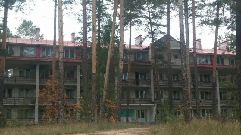 Санаторий лесная сказка йошкар ола. Сайт санатория лесной сказке. Лесная сказка санаторий озеро еловое. Лесная сказка пансионат новосибирск. Санаторий лесная сказка чебаркуль.
