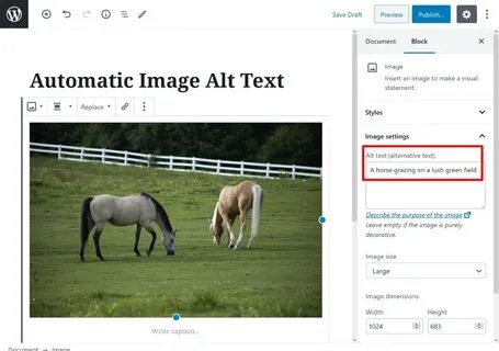 Alt image