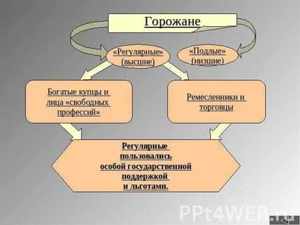Виды горожан