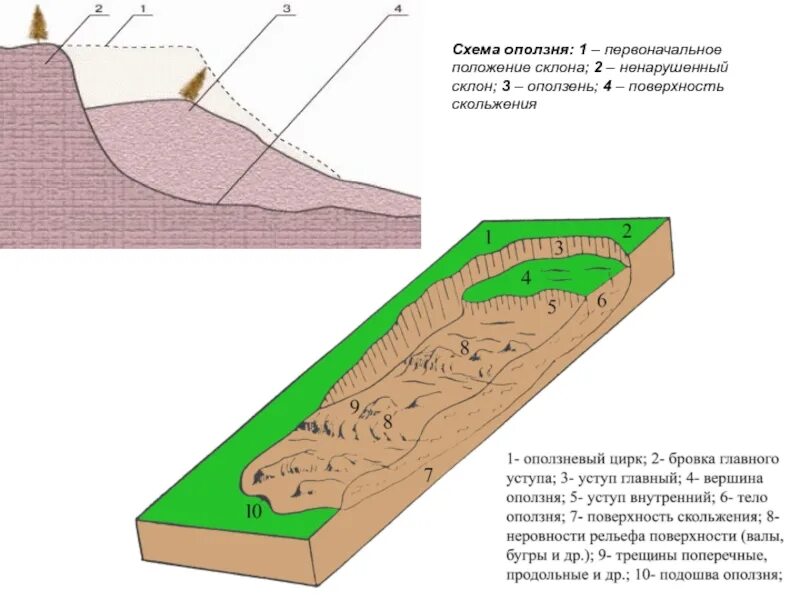 Схема строения осыпи. Схема строения оползня. Строение и структура оползней.. Схема строения оползневого склона. Образование обвалов